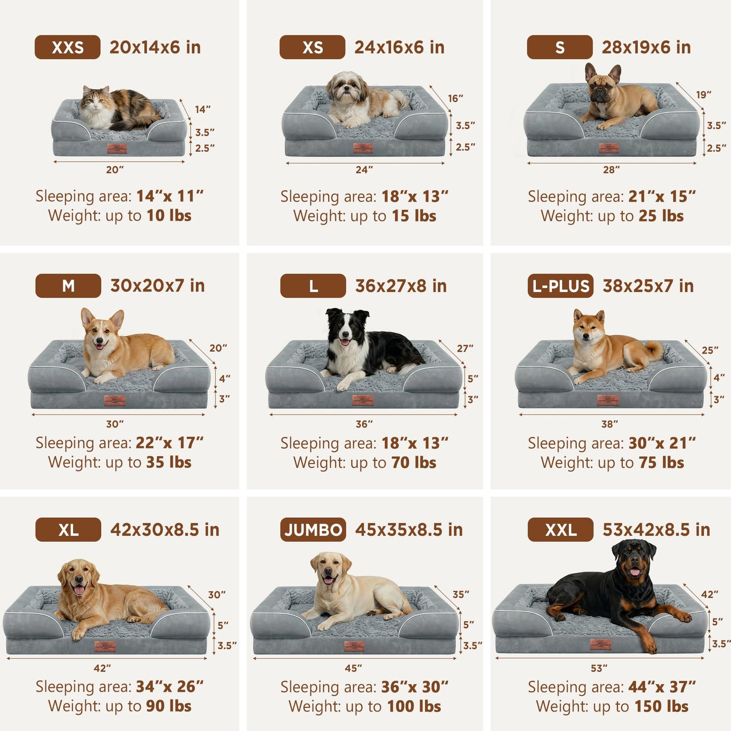 Comfort Expression Orthopedic Dog Bed – CertiPUR-US Foam, 3-Sided Bolster & Washable Cover (XL)