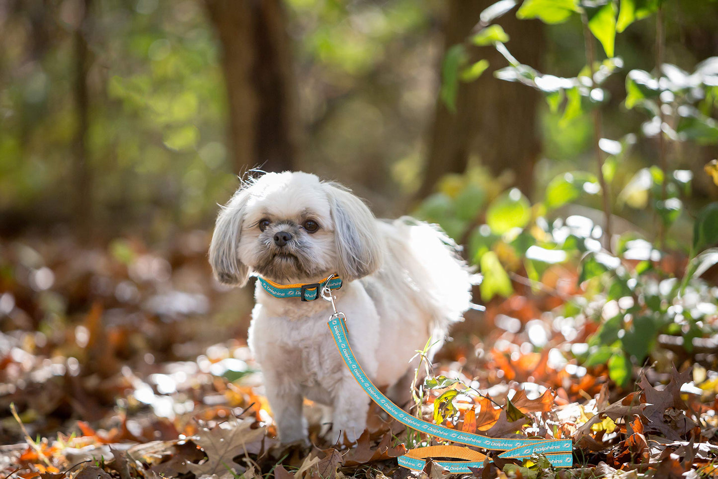 Pets First NFL Miami Dolphins Satin Dog & Cat Leash – Official Licensed Pet Leash (Large)