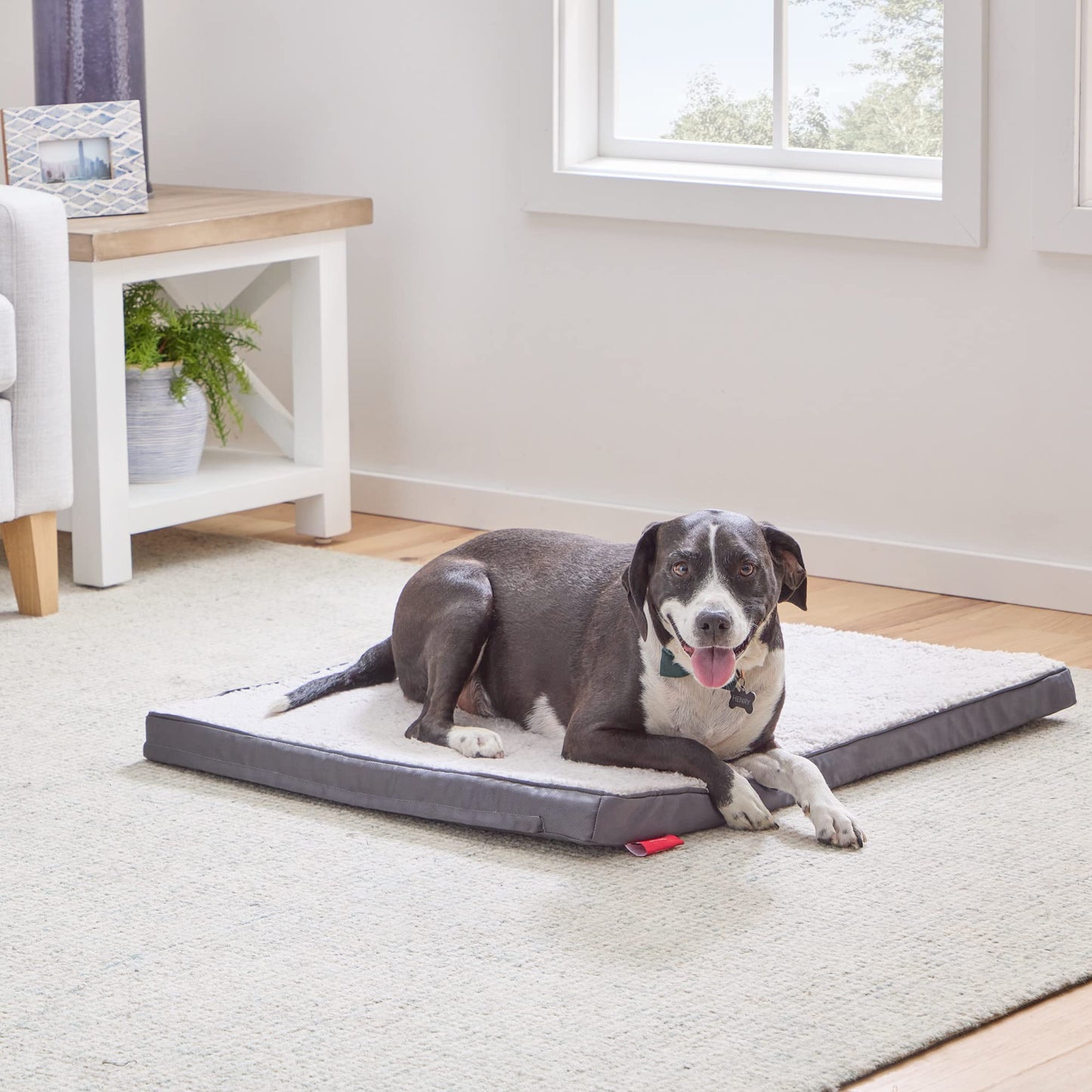 Brindle Orthopedic Dog & Cat Bed – 2" Memory Foam, Washable Cover, Crate-Fit
