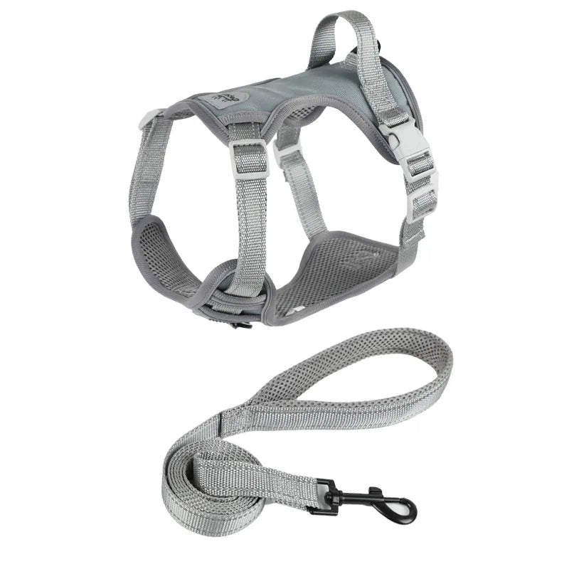 Small Dog & Cat Harness with Leash | Adjustable Vest | Chihuahua, Pug, French Bulldog | S–L