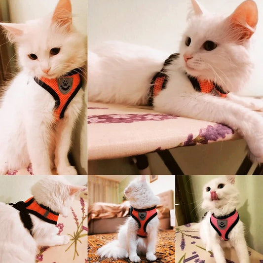 Breathable Mesh Small Dog & Cat Harness with Leash | Reflective | Sizes S–XL