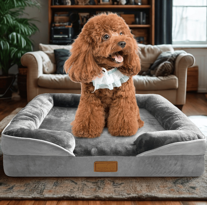 Spotted Play Orthopedic Dog Bed – Sofa Couch with Bolster Sides, Waterproof & Washable | Small Dogs
