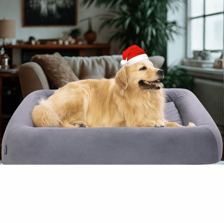 Pettycare Orthopedic Dog Bed XL – Chew-Resistant, Waterproof & Reversible Bolster Couch