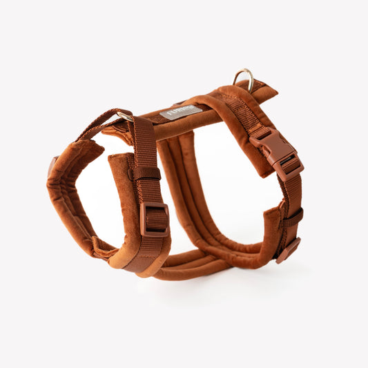 Clay - Samt Hundegeschirr