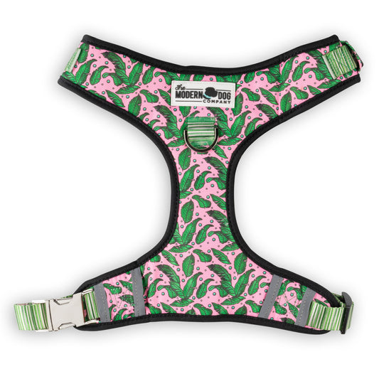 The Modern Dog Company - Pink Tropics Geschirr