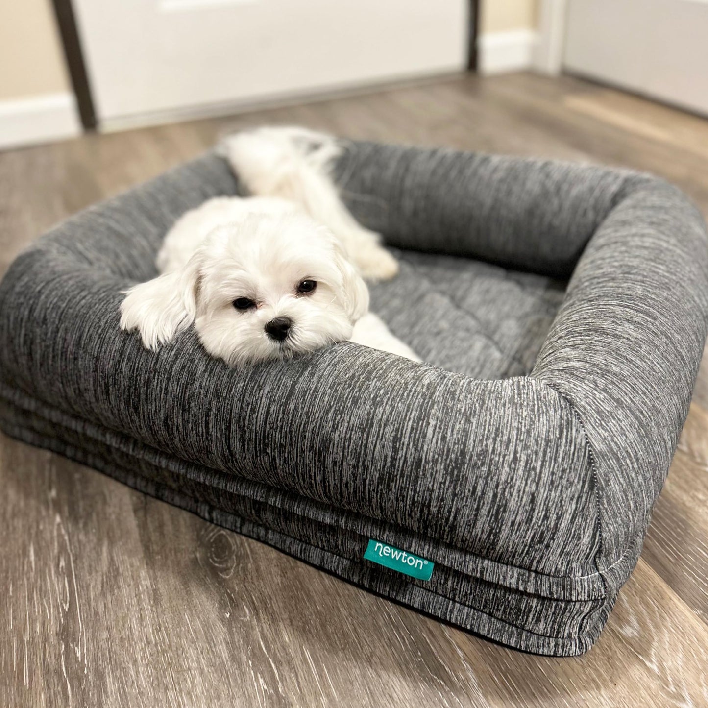 Newton Orthopedic Dog & Cat Bed – Foam-Free, Breathable, Fully Washable
