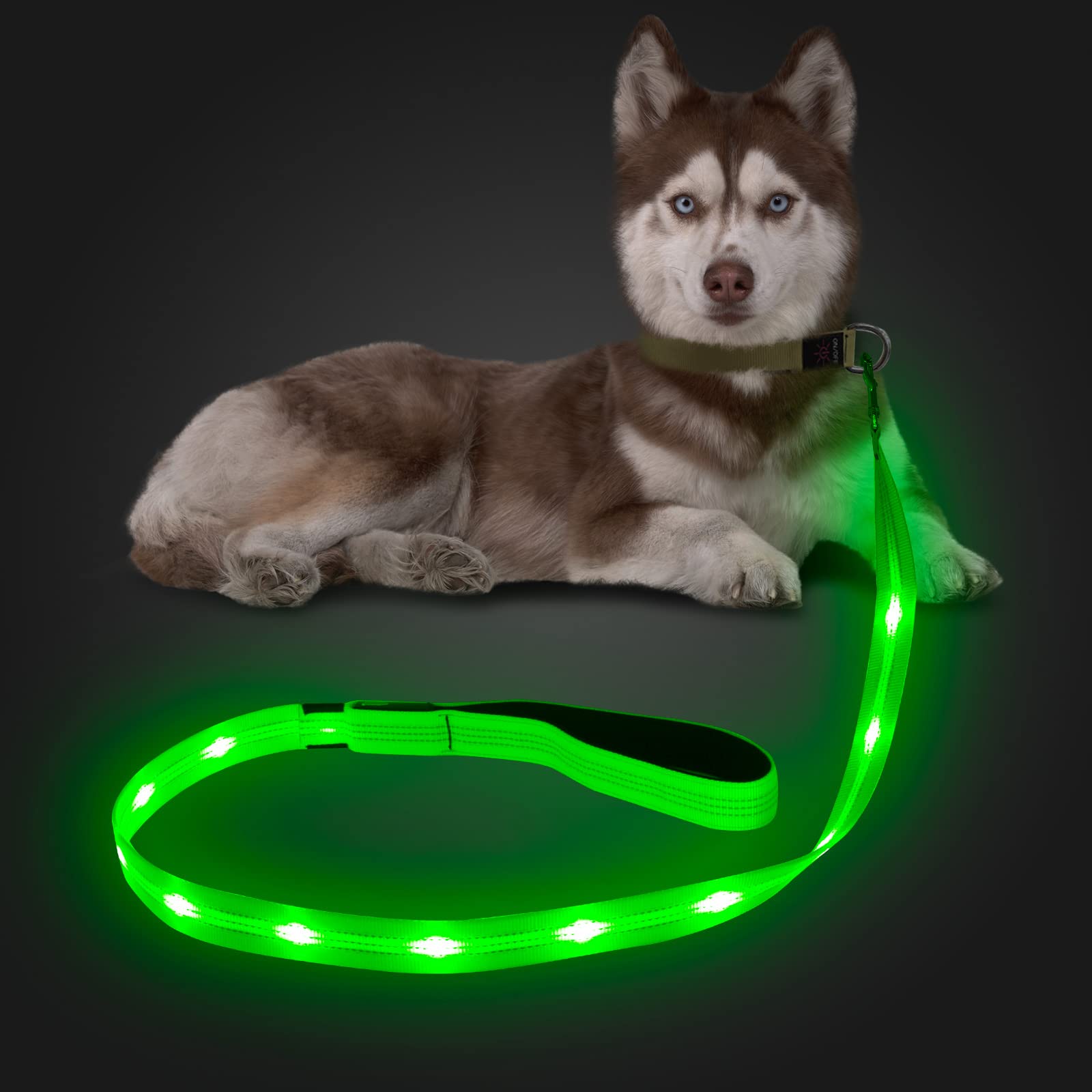 LumiPawz USB Rechargeable LED Dog Leash