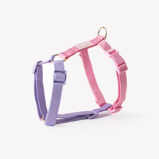 Lavendel und Rosa - Hundegeschirr