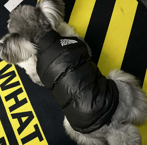 Dog Down Vest Jacket - Warm Sleeveless Winter Coat for Dogs in Black