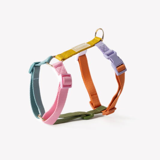 Rainbow - Hundegeschirr
