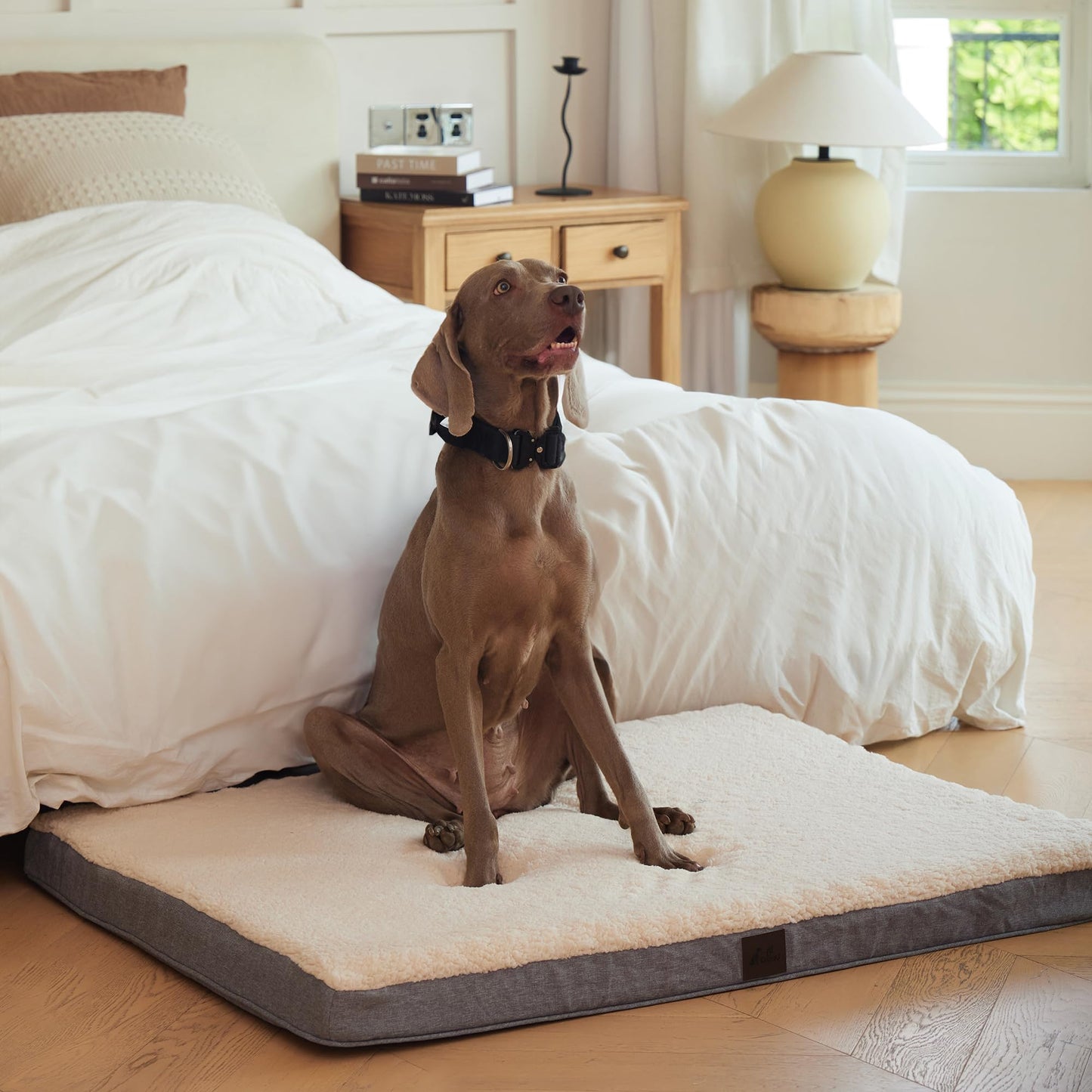 DaysU XL Orthopedic Dog Bed (44" x 32" x 3") – Reversible Fleece & Oxford Foam Pet Mat