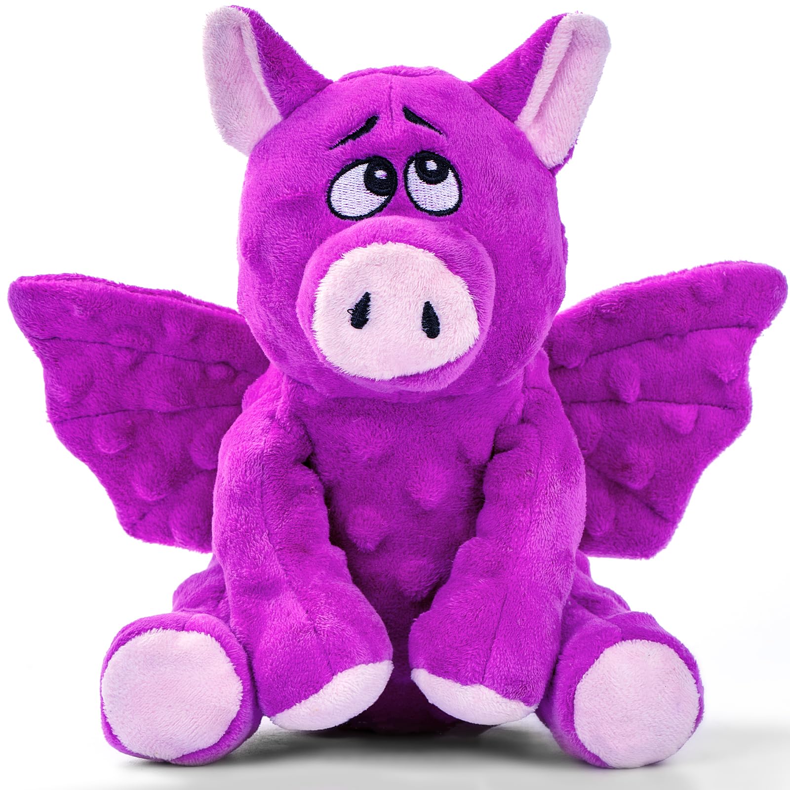 Crinkle-Squeak Large Dog Play Toys
