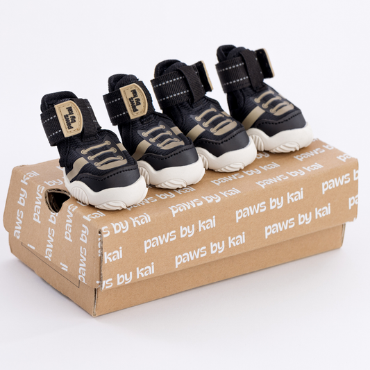 Der Kai-Hundesneaker