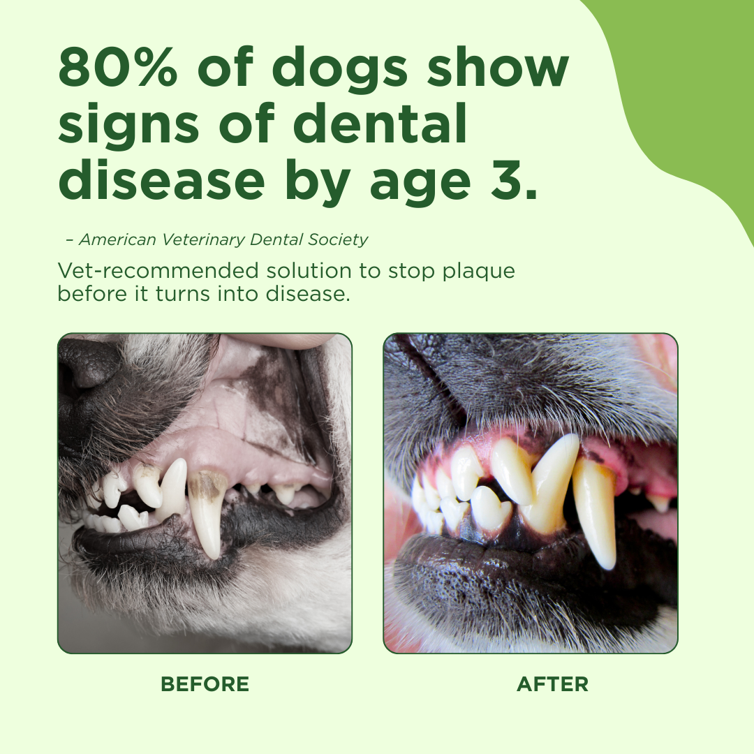 Adore Pet Dog Dental Spray & Fresh Breath Plaque Remover