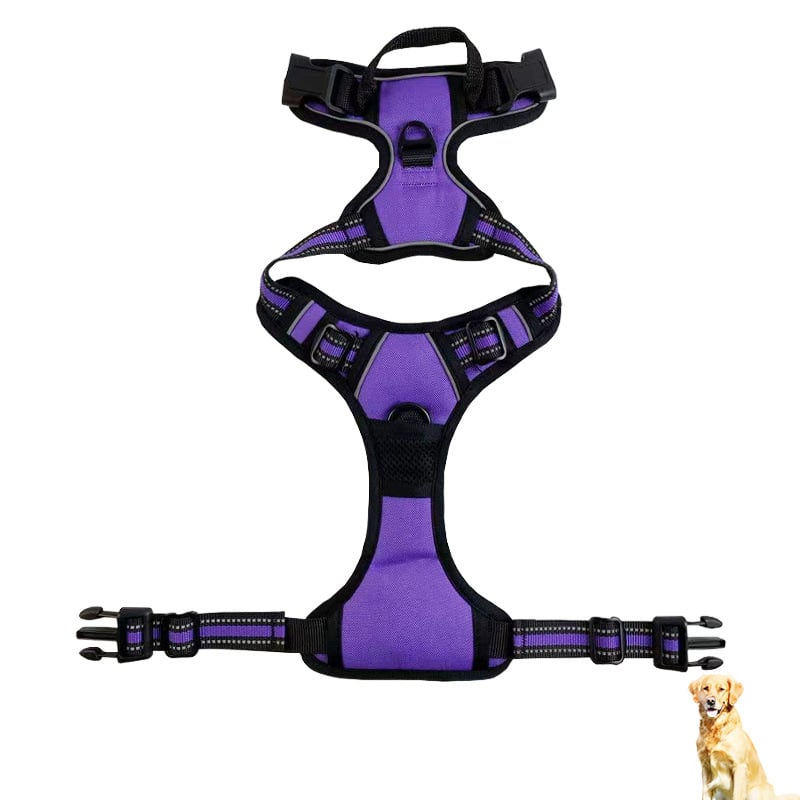 Reflective Dog Harness – Adjustable Nylon Chest & Back Harness for Dogs