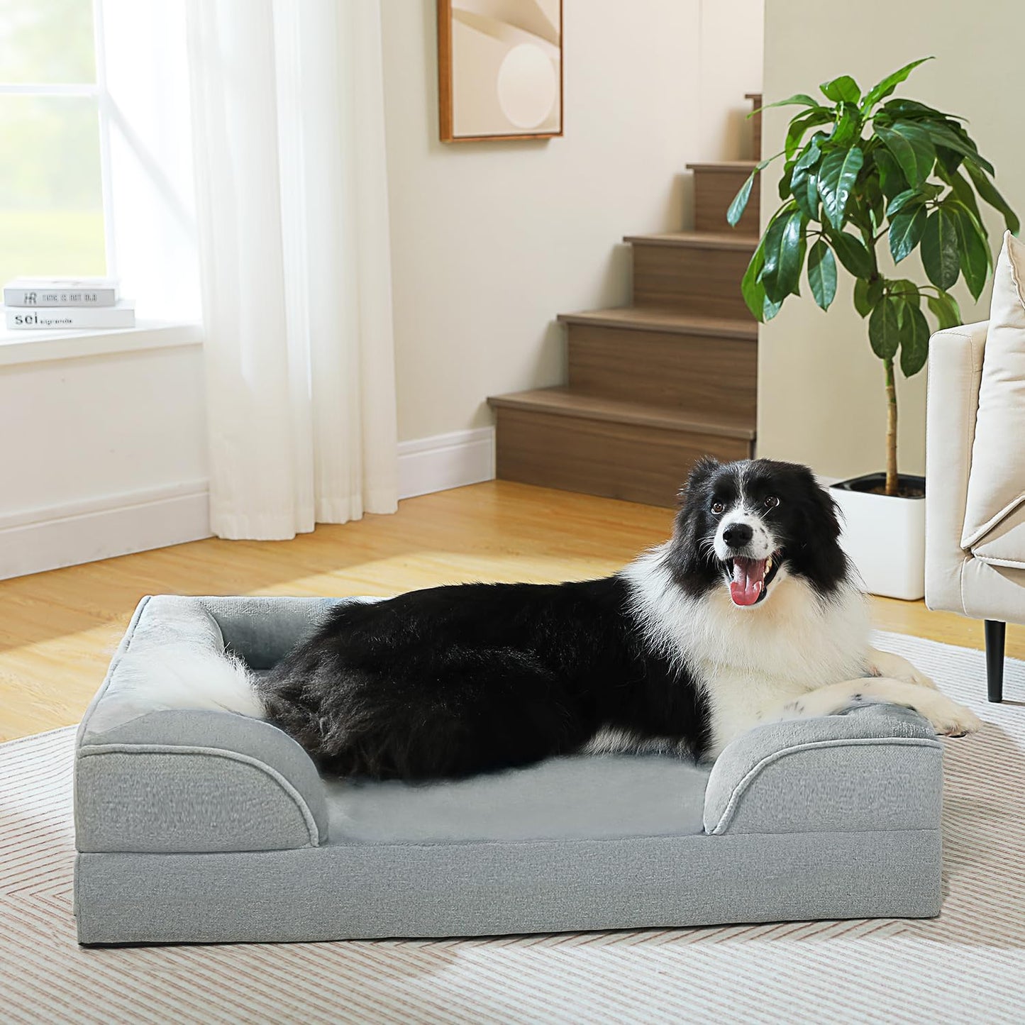 PAWZ Road Orthopedic Dog Bed – Large | Waterproof, Non-Slip & Washable