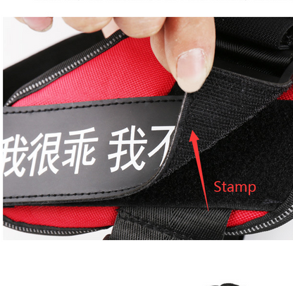 Dog Harness
