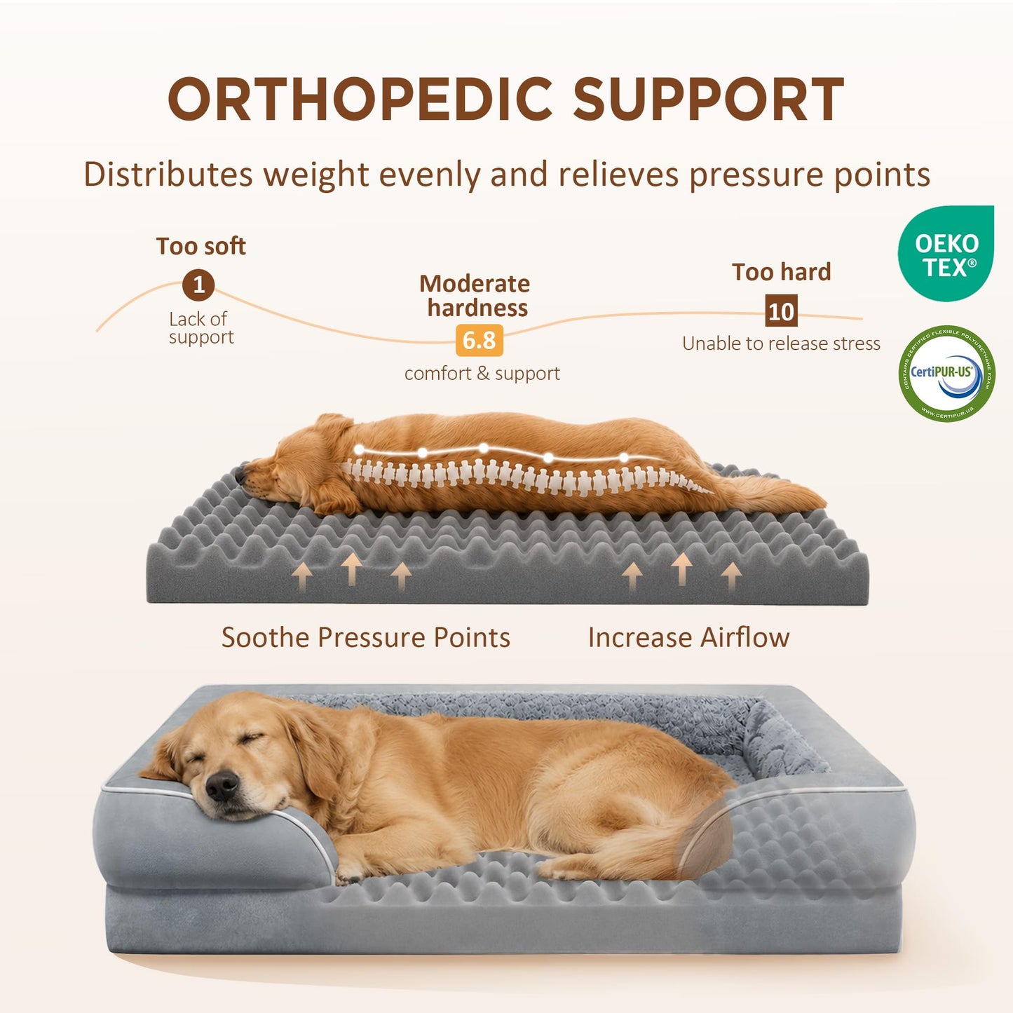 Comfort Expression Orthopedic Dog Bed – CertiPUR-US Foam, 3-Sided Bolster & Washable Cover (XL)