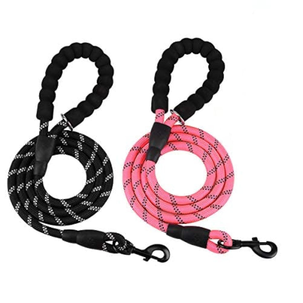 Twin Pack Sturdy 5ft Nylon Dog Leashes