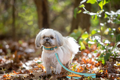Pets First NFL Miami Dolphins Satin Dog & Cat Leash – Official Licensed Pet Leash (Large)