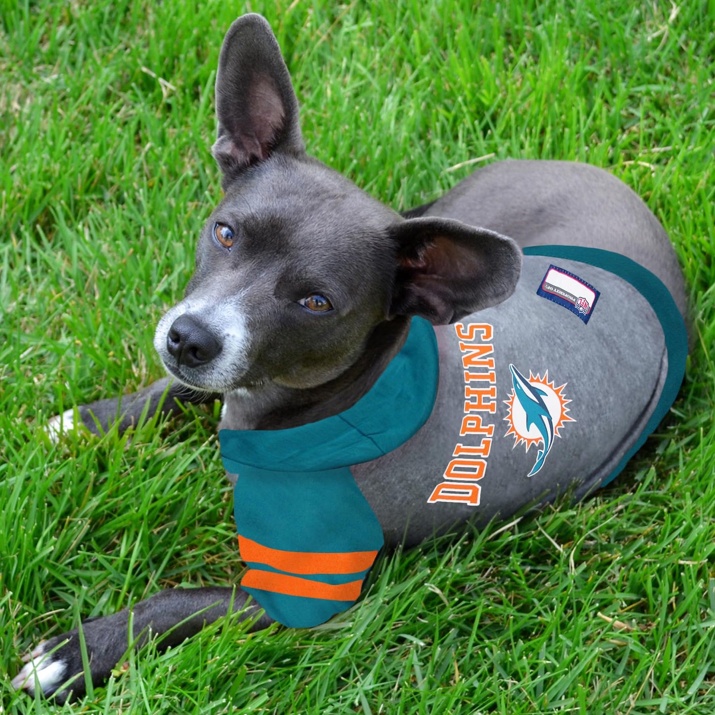 Pets First NFL Miami Dolphins Hoodie for Dogs & Cats – Official Licensed Pet Apparel (X-Small)