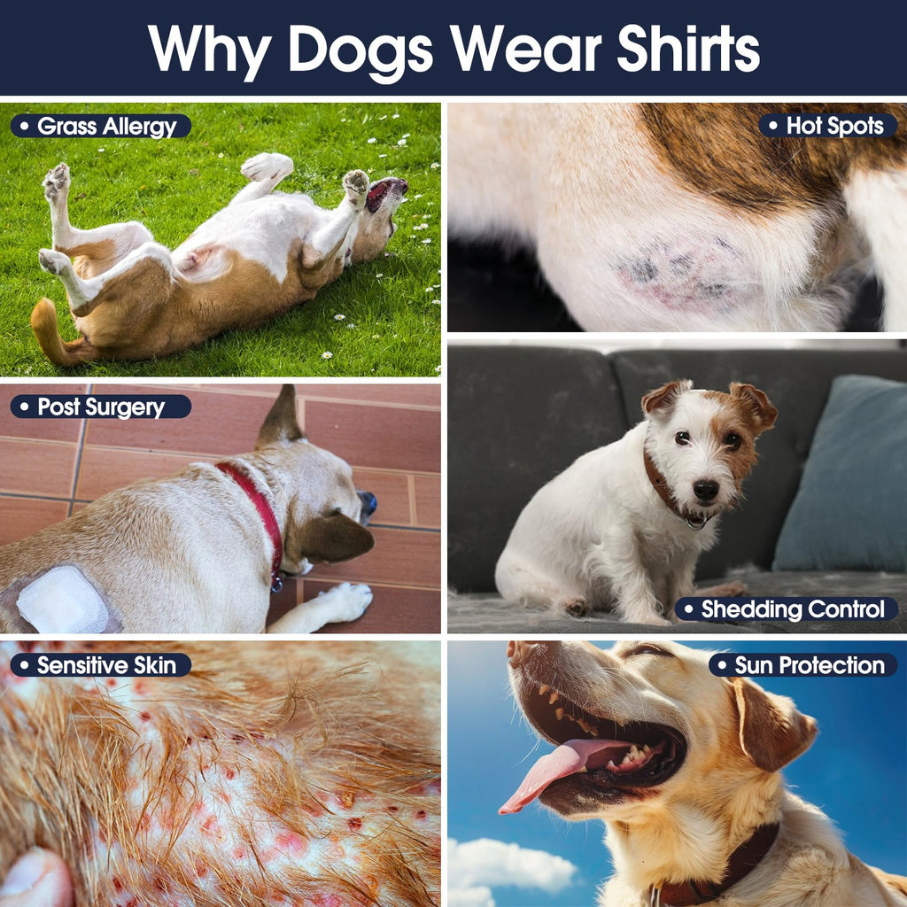 IECOii 2 Pack Dog Surgery Recovery Shirt Sleeveless Lightweight Dog Tshirt