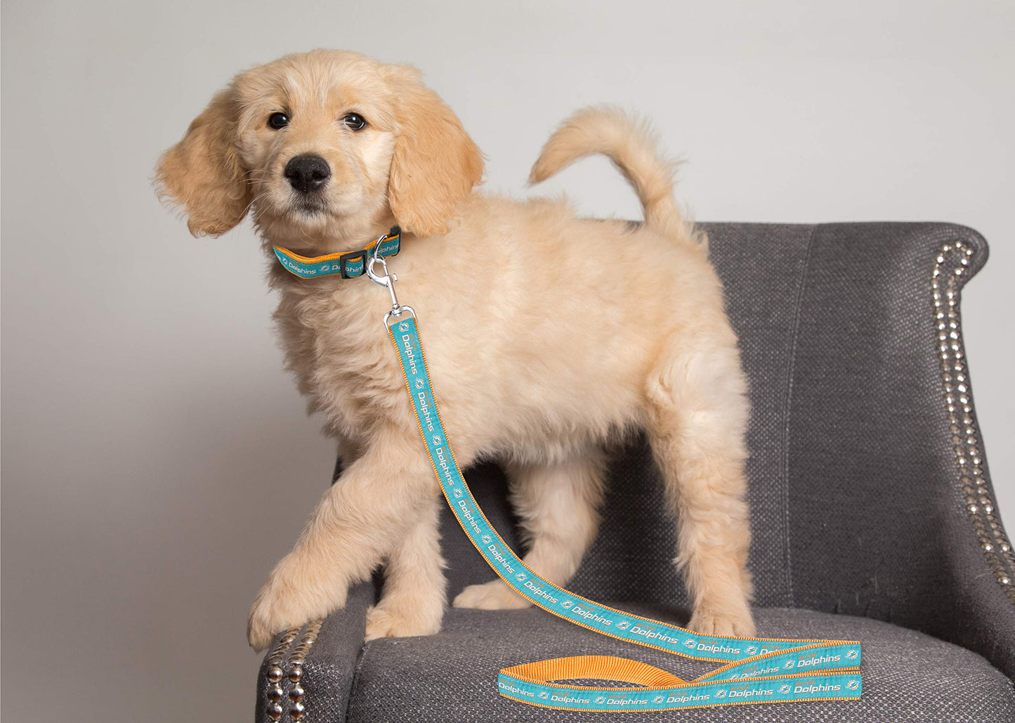 Pets First NFL Miami Dolphins Satin Dog & Cat Leash – Official Licensed Pet Leash (Large)