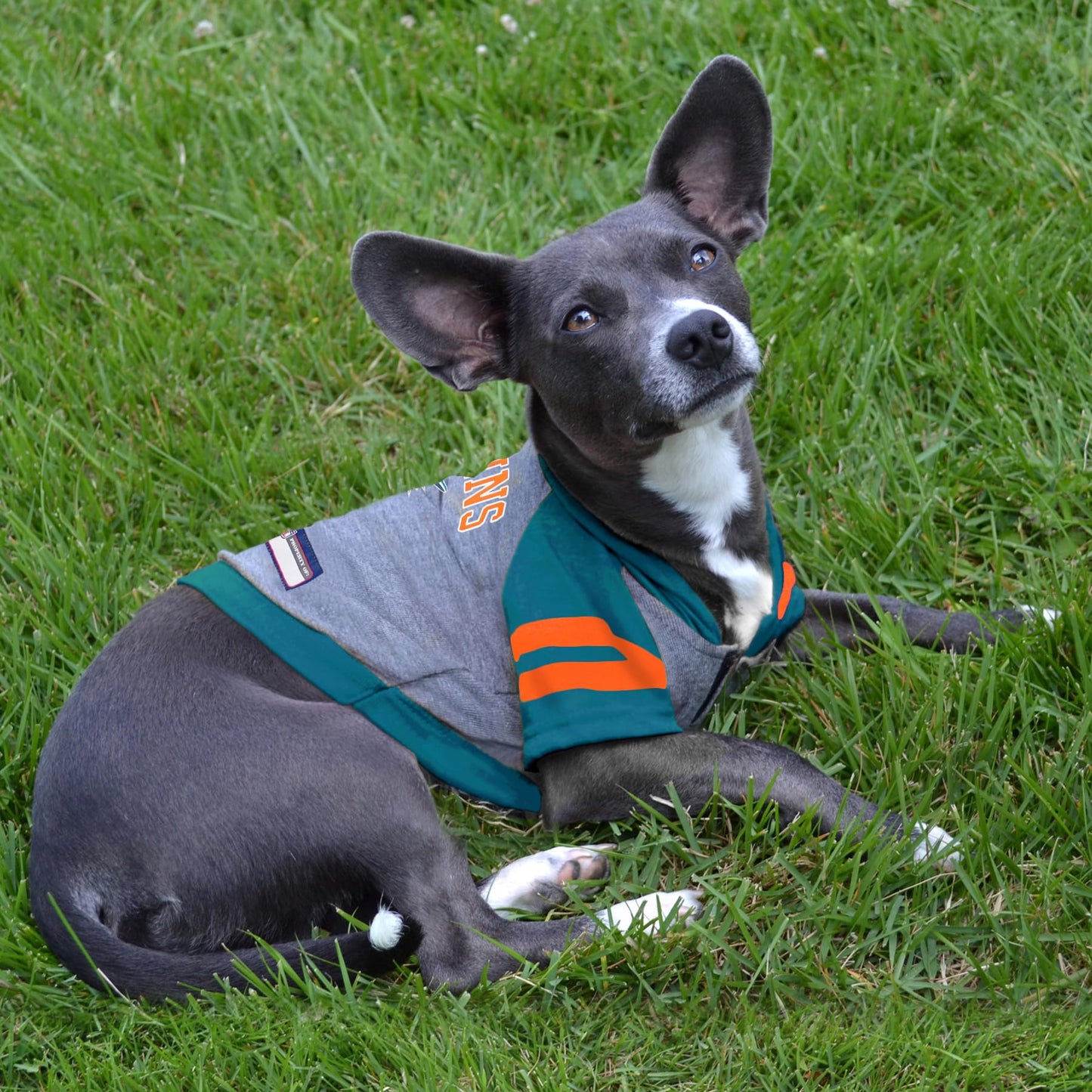 Pets First NFL Miami Dolphins Hoodie for Dogs & Cats – Official Licensed Pet Apparel (X-Small)