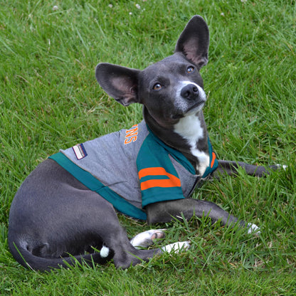 Pets First NFL Miami Dolphins Hoodie for Dogs & Cats – Official Licensed Pet Apparel (X-Small)