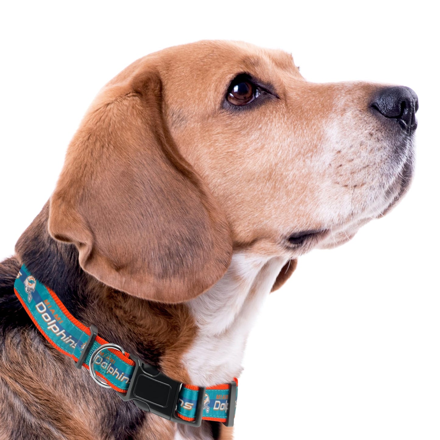 Pets First NFL Miami Dolphins Licensed PET COLLAR, Medium - Heavy-Duty, Strong, and Durable Dog Collar. Available in 31 Football Teams and 4 Sizes