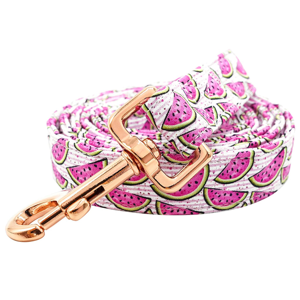 Chic Tailor Pet Leash with Soft Grip
