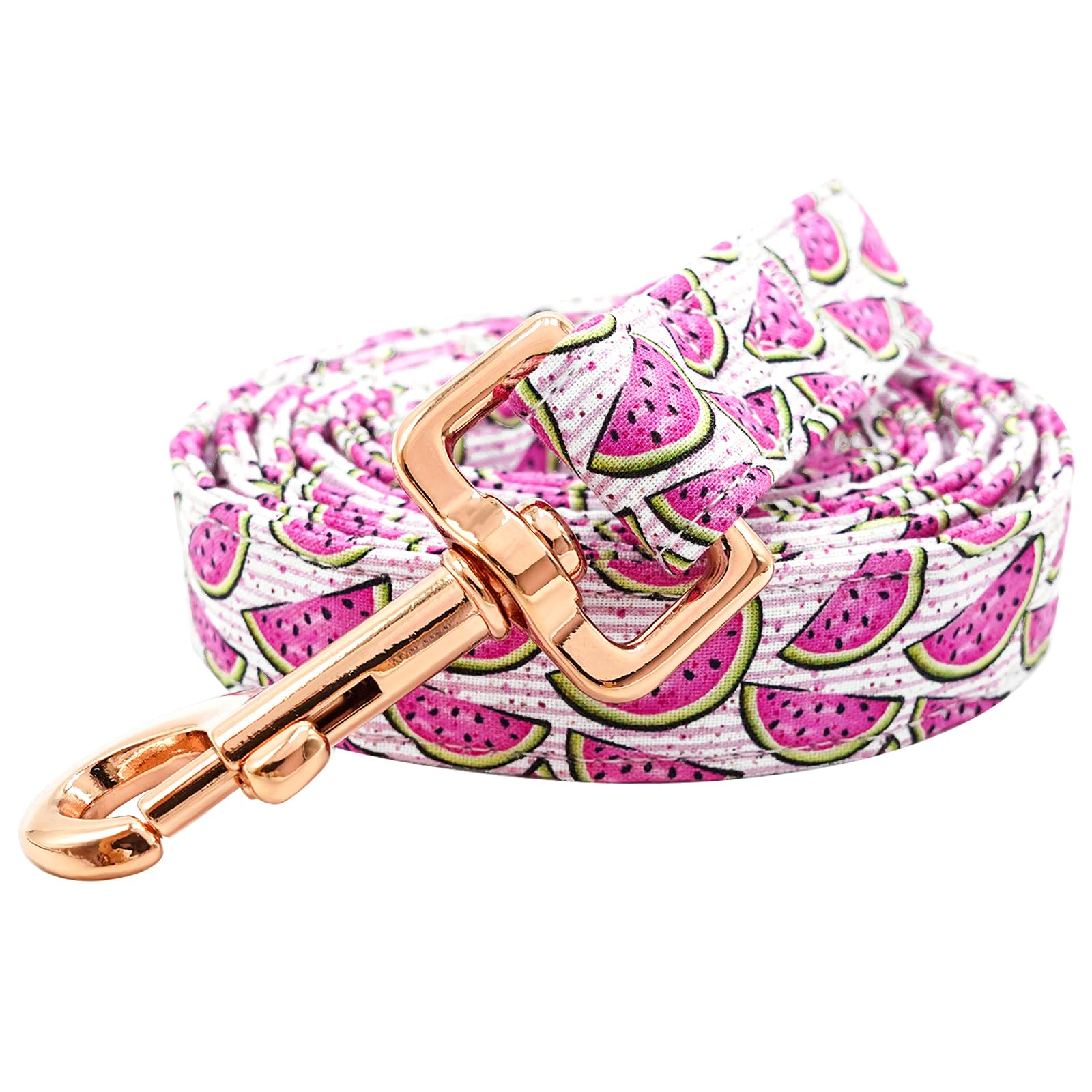 Chic Tailor Pet Leash with Soft Grip