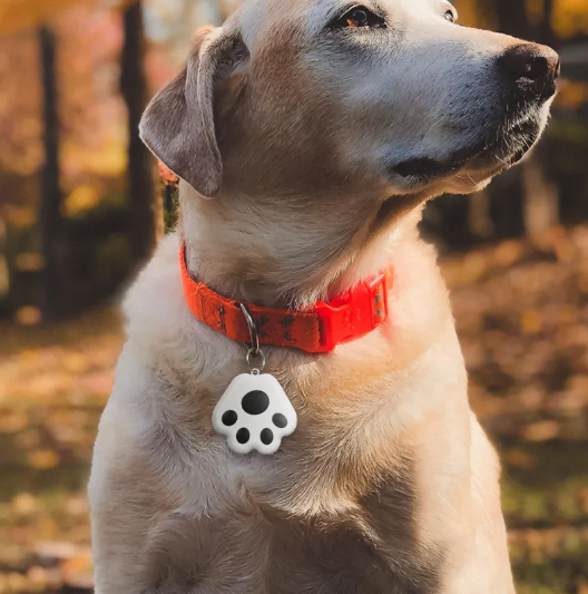 BarkCart PawGuard Bluetooth Pet Tracker – Two-Way Alarm & Selfie Remote