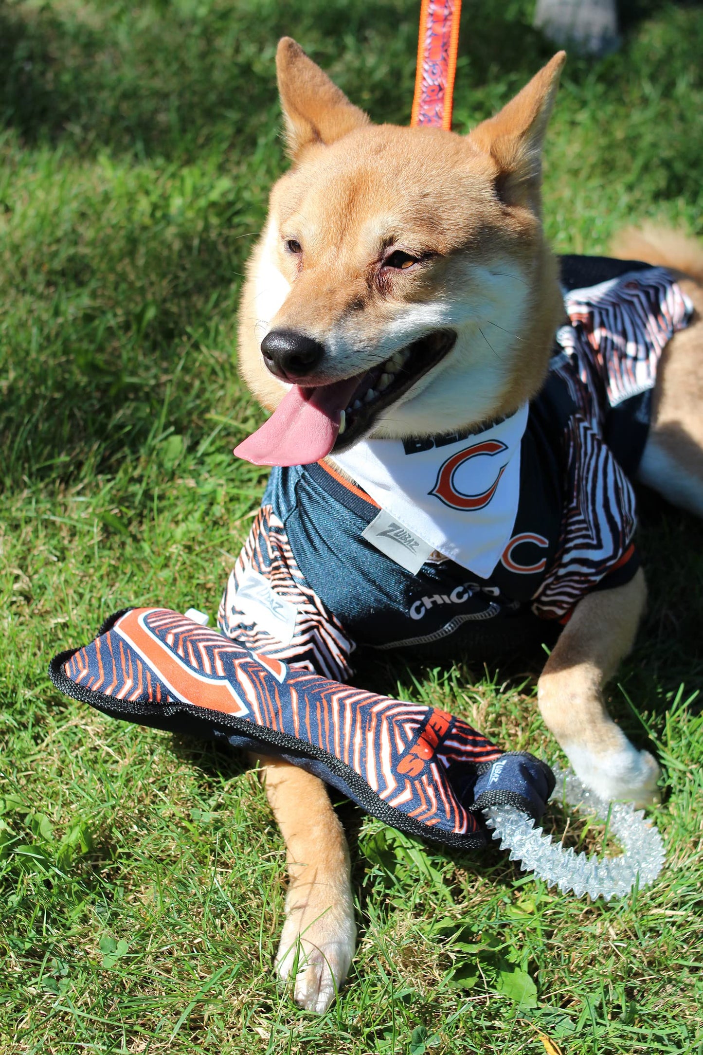 Zubaz NFL Team Logos and Colors Ring Tug Toy with Squeaker for Dogs, Miami Dolphins