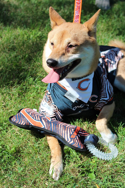 Zubaz NFL Team Logos and Colors Ring Tug Toy with Squeaker for Dogs, Miami Dolphins