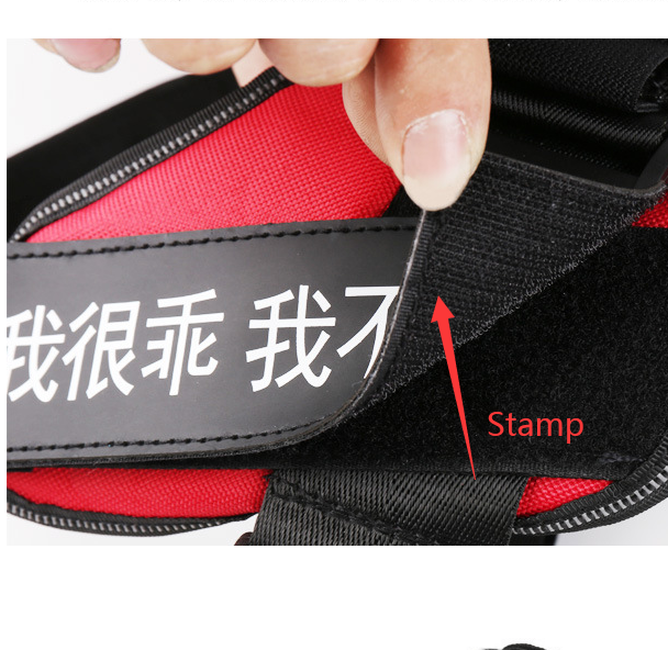 Dog Harness