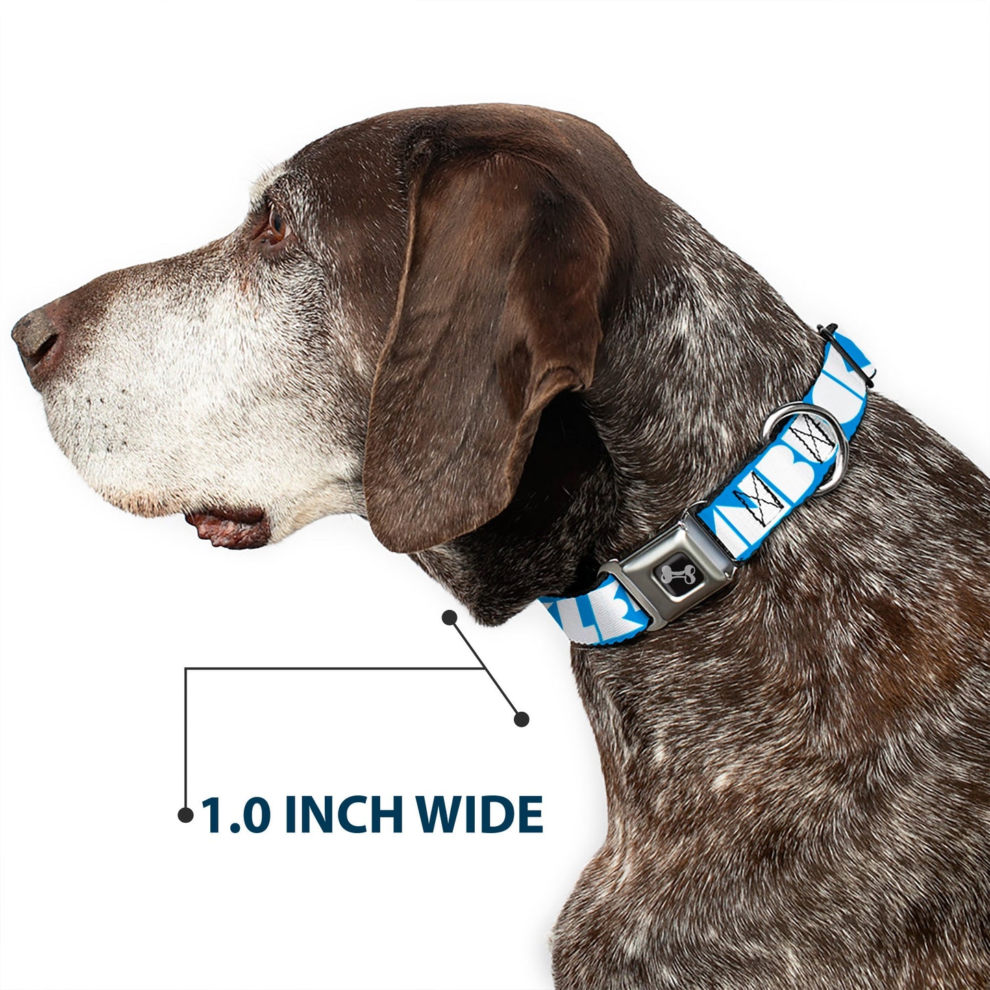 Dog Bone Seatbelt Buckle Collar - BUCKLE-DOWN Shapes Turquoise/White