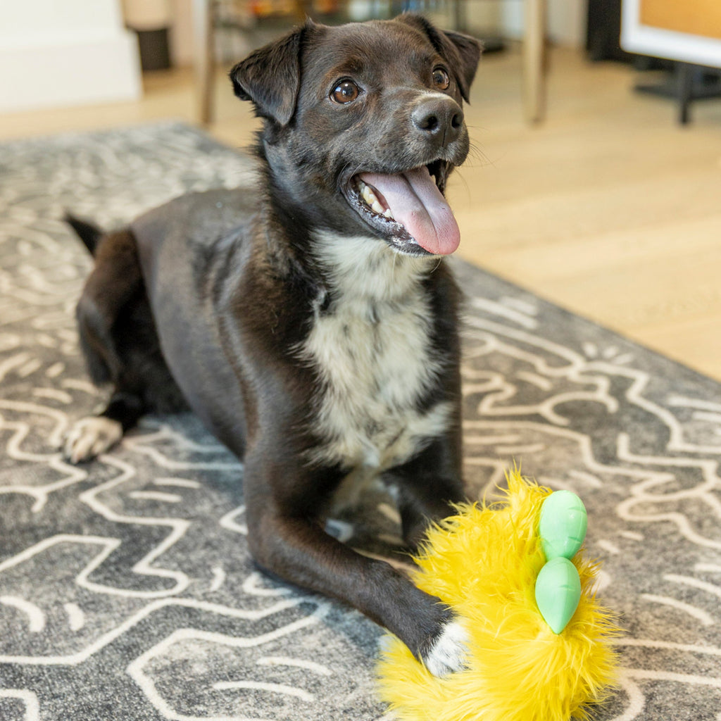 West Paw Astrid Durable Plush Dog Toy