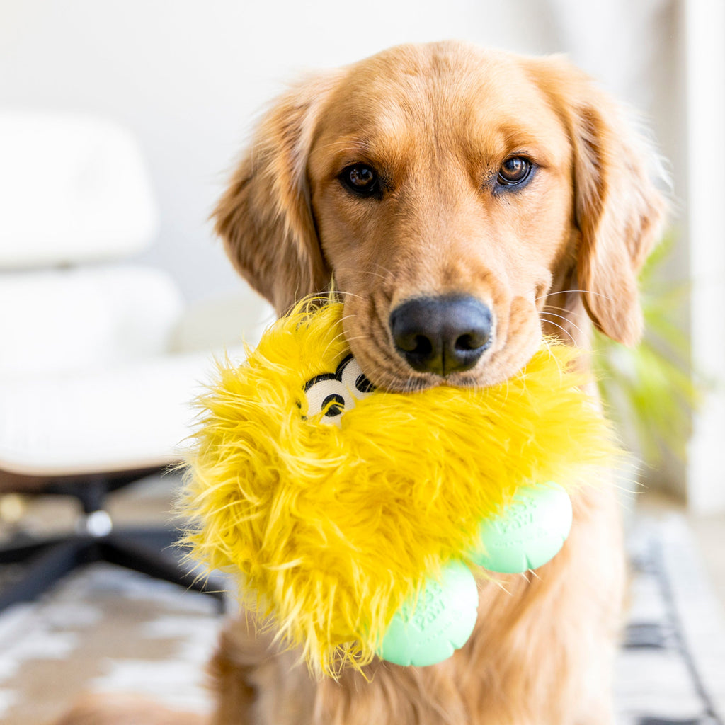West Paw Astrid Durable Plush Dog Toy