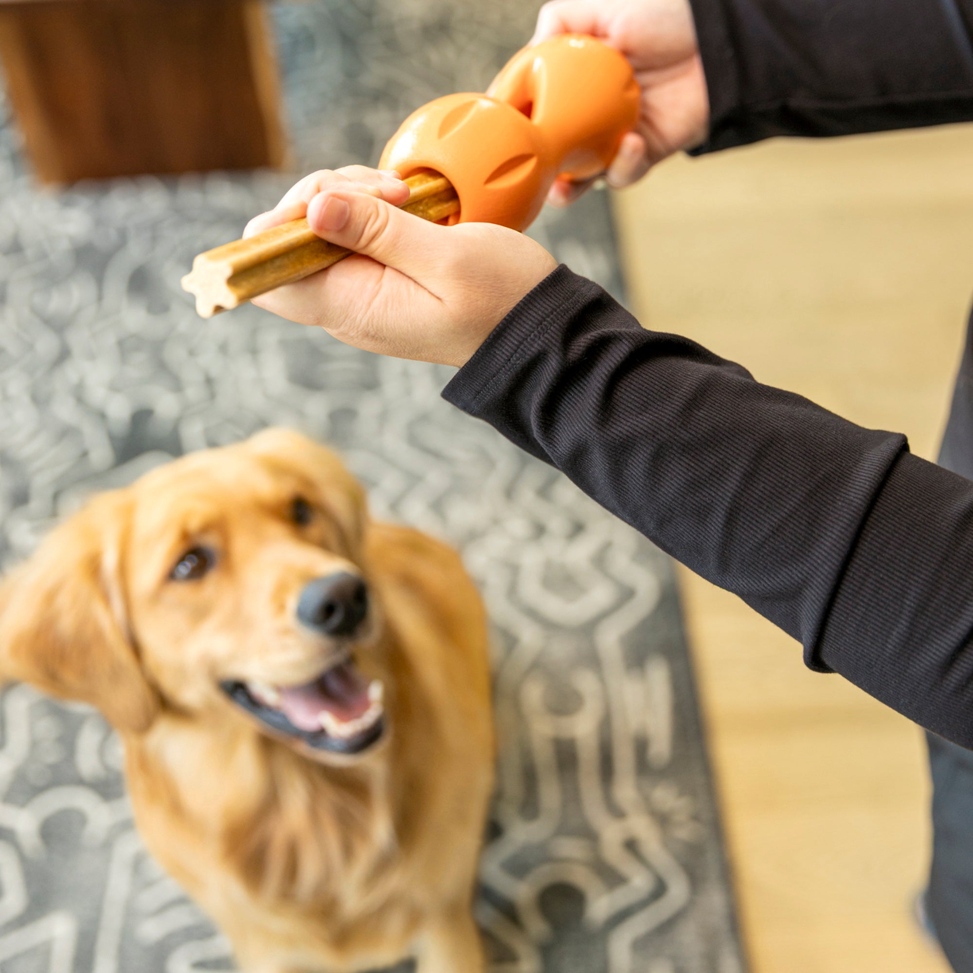 West Paw Natural Dental Sticks Large Dog Treats