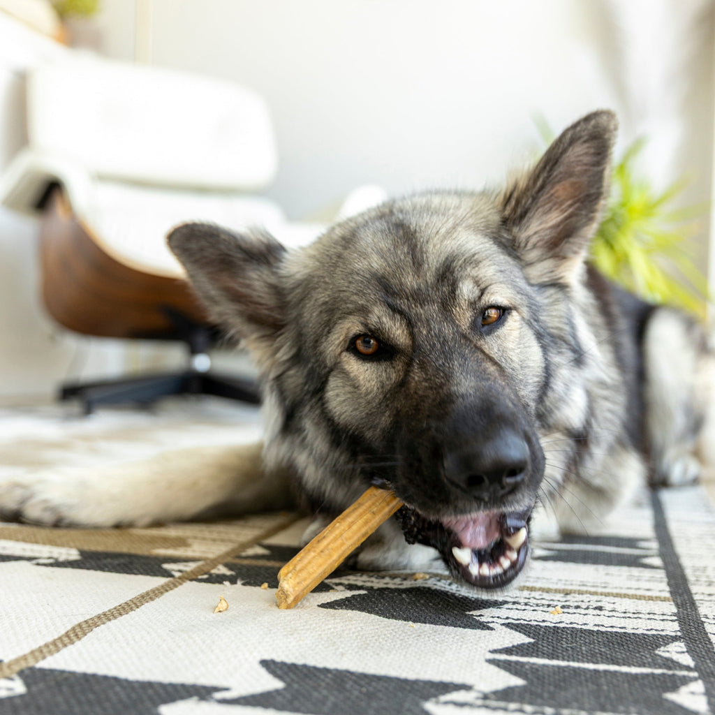 West Paw Natural Dental Sticks Large Dog Treats