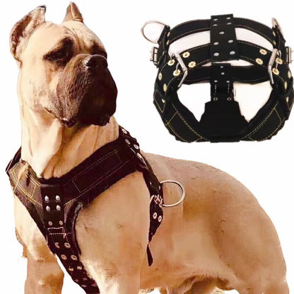 Heavy-Duty Large Dog Harness | Tear-Resistant | Pit Bull & Large Breeds | Sizes S–XL