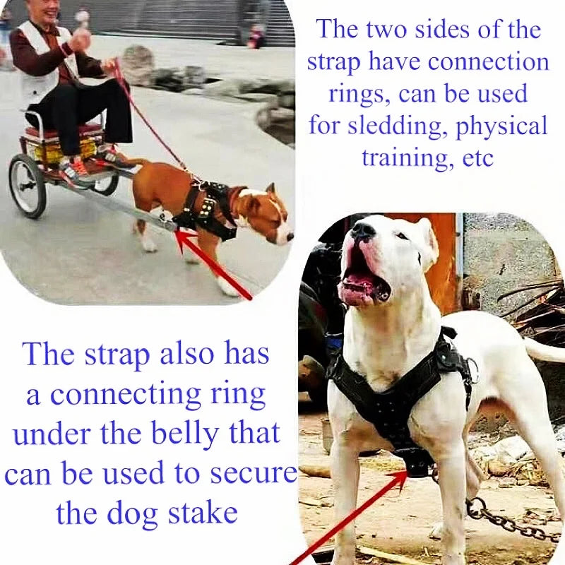 Heavy-Duty Large Dog Harness | Tear-Resistant | Pit Bull & Large Breeds | Sizes S–XL