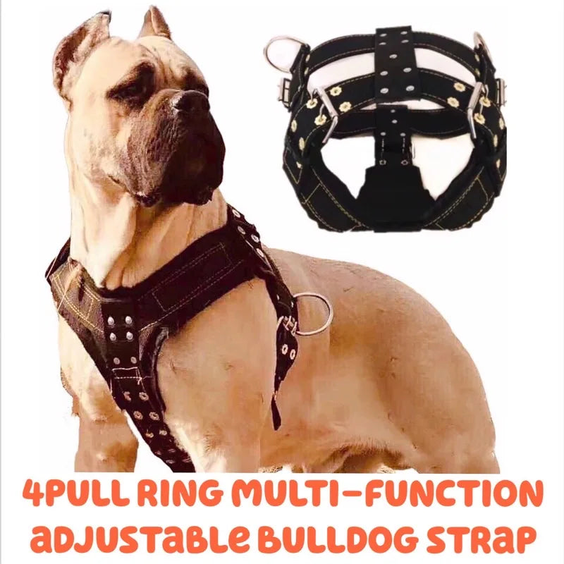 Heavy-Duty Large Dog Harness | Tear-Resistant | Pit Bull & Large Breeds | Sizes S–XL