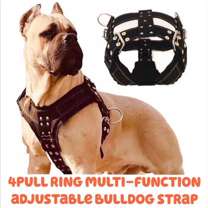 Heavy-Duty Large Dog Harness | Tear-Resistant | Pit Bull & Large Breeds | Sizes S–XL