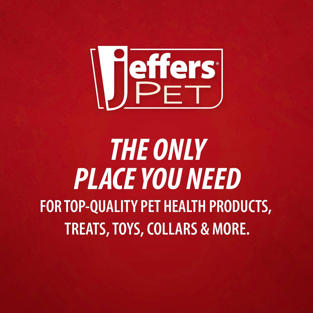 Jeffers T-Rex Natural Rubber Treat Dispensing Dental Dog Chew Toy for Medium Chewers with Vanilla Scent