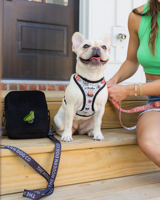 The Modern Dog Company – Bad to the Bone Geschirr
