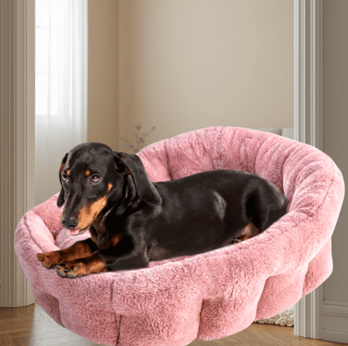 KindTail Orthopedic Dog Bed Cuddler – Faux Fur Luxury Pet Bed for Dogs & Cats Under 25 lbs