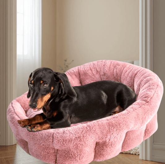 KindTail Orthopedic Dog Bed Cuddler – Faux Fur Luxury Pet Bed for Dogs & Cats Under 25 lbs