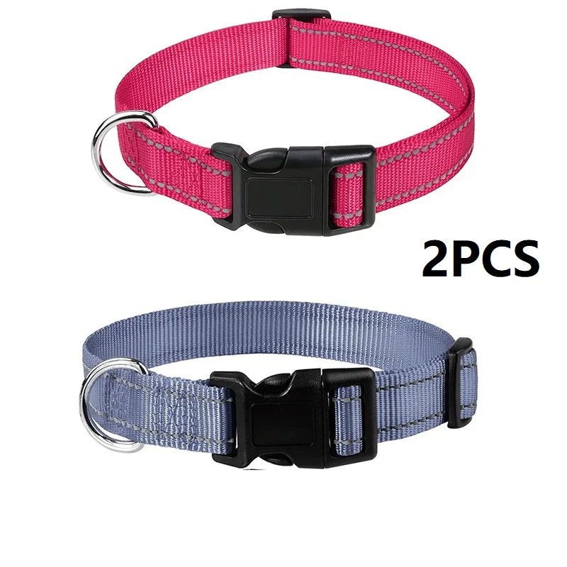 Nylon Dog Collar | Adjustable Buckle | Single or 2-Pack | Sizes XS–XL